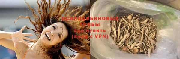 jwh Белокуриха