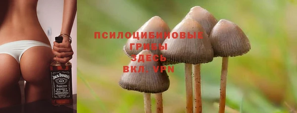 jwh Белокуриха