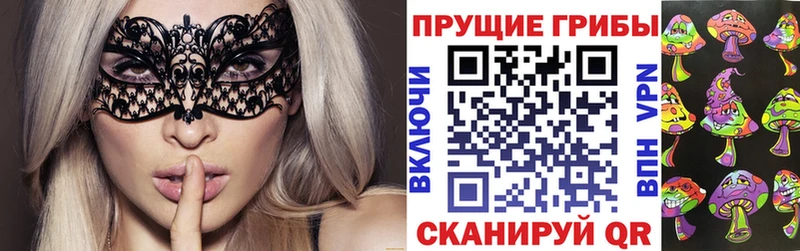 цены   кракен онион  Псилоцибиновые грибы Magic Shrooms  Короча 